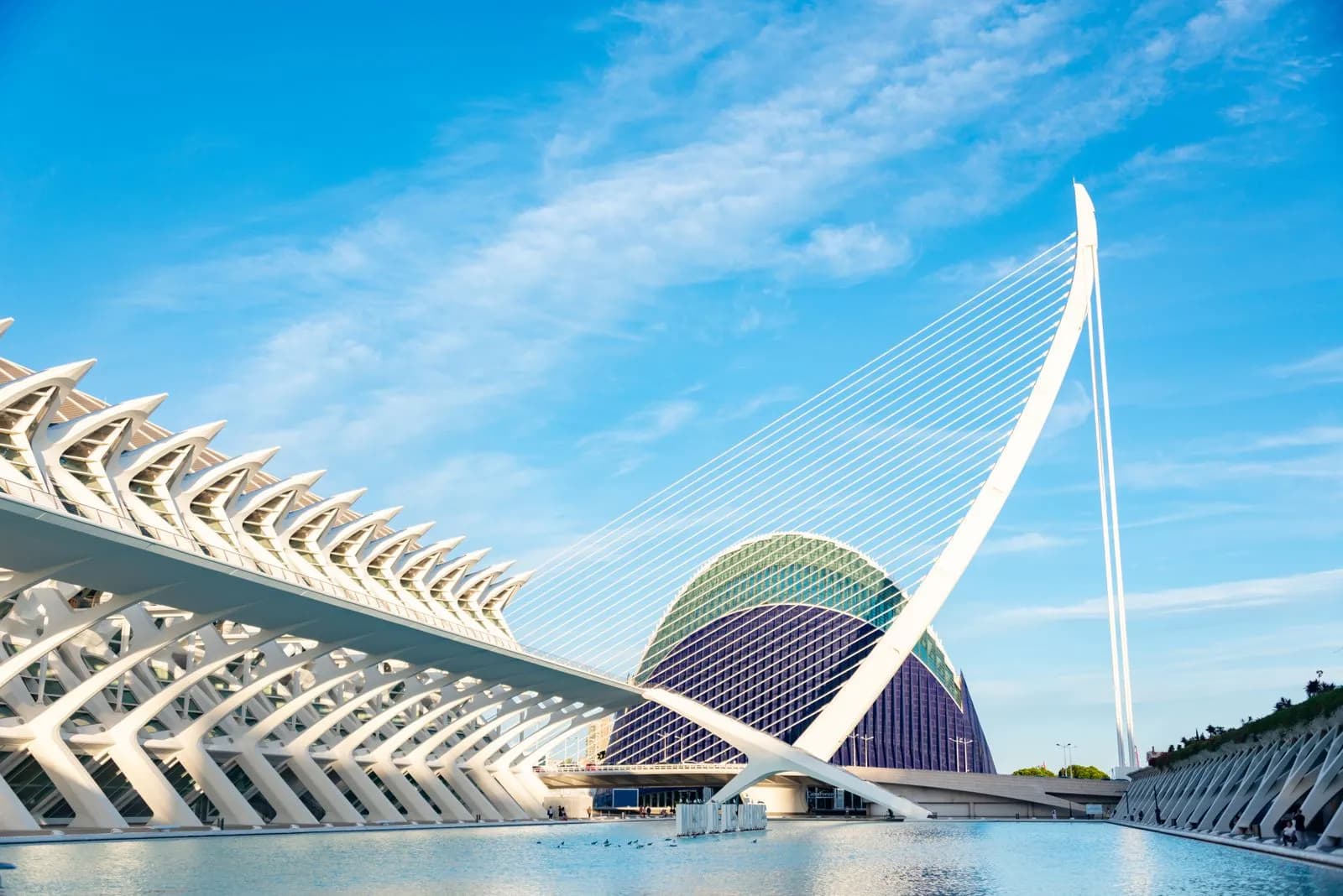 Cité des Arts et des Sciences de Valence par Calatrava