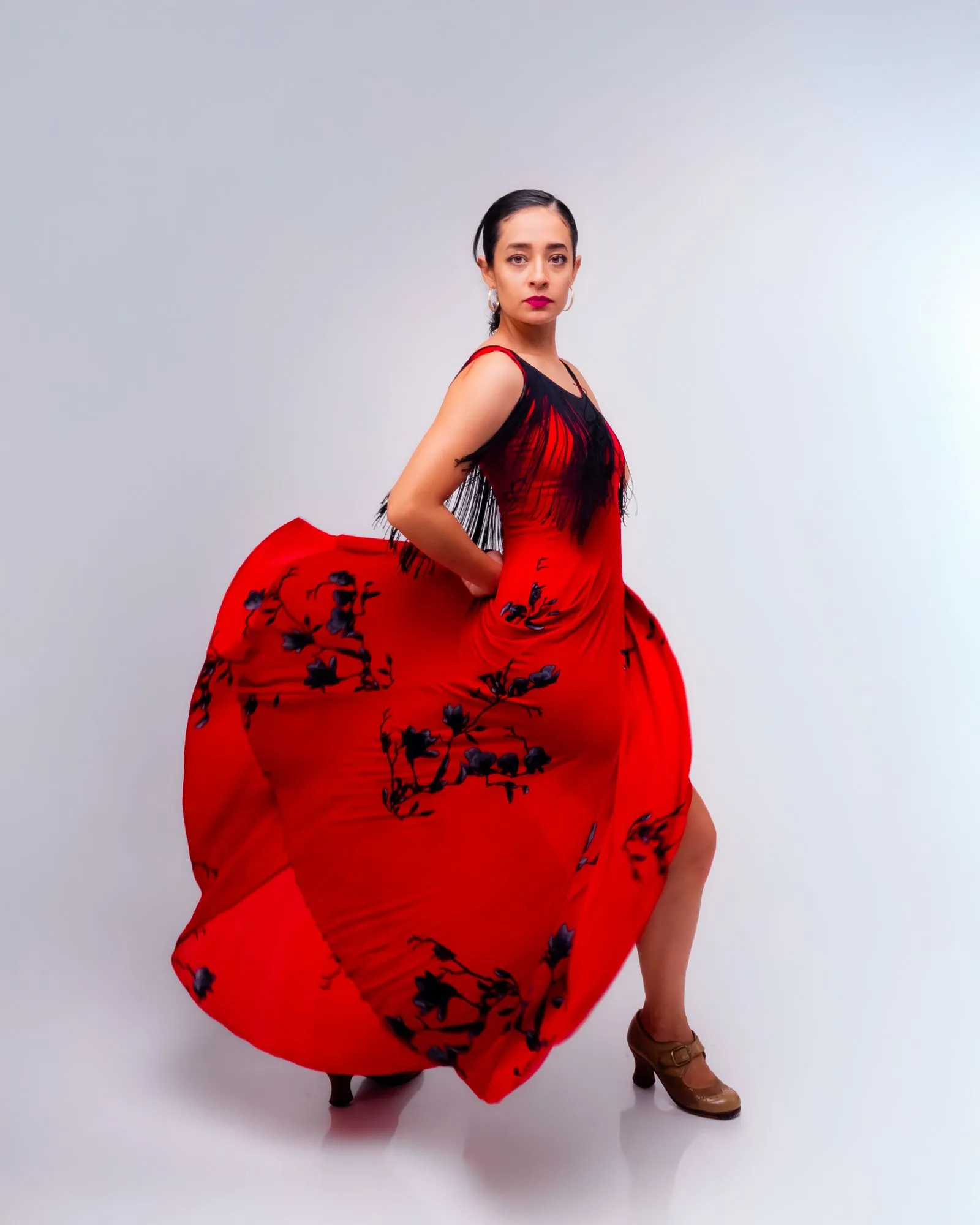 Flamenco, art vivant