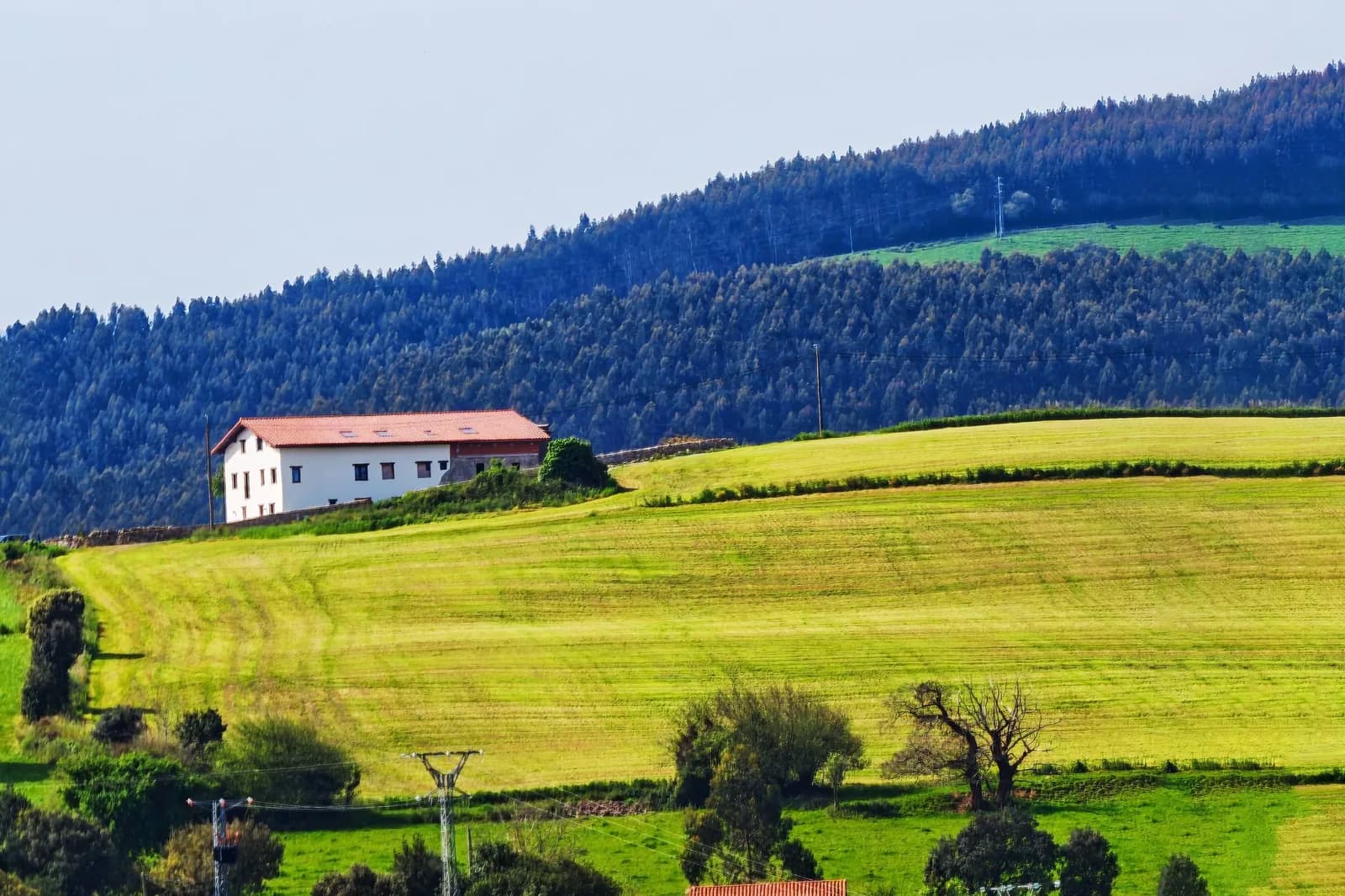 Un caserío basque à toit de tuiles rouges posé sur des collines vertes, adossé à une forêt
