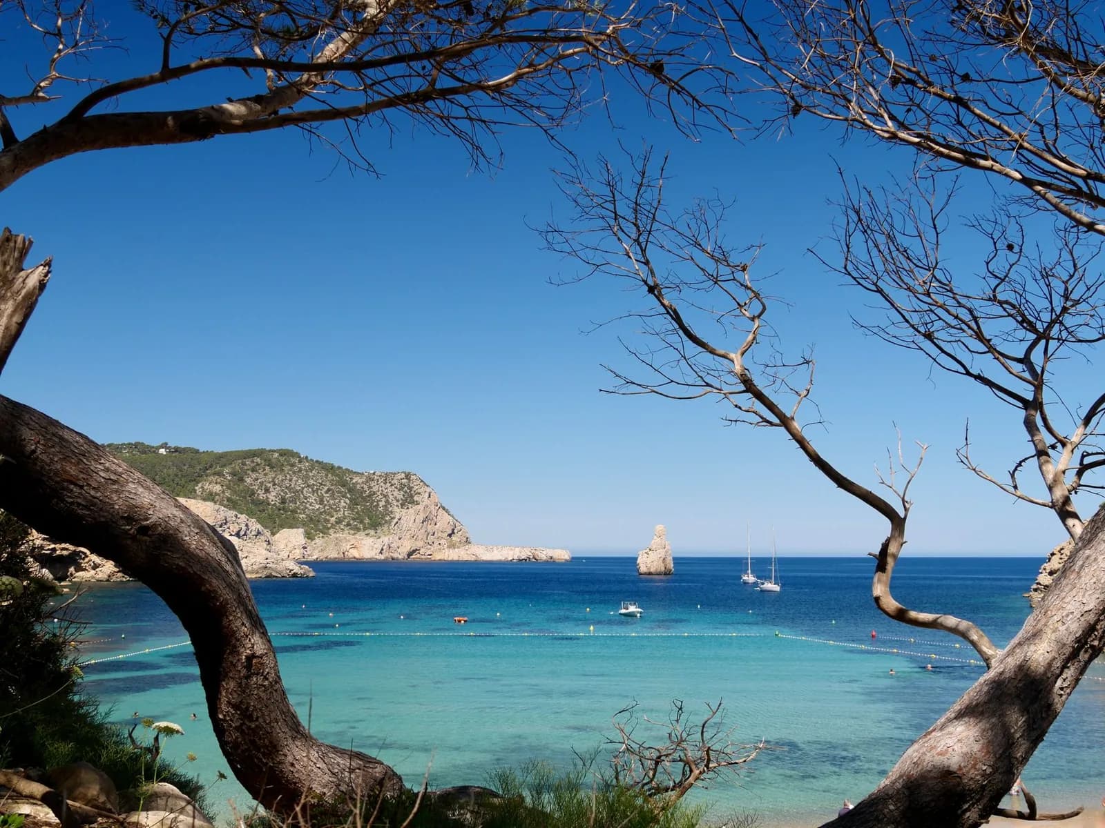 Baie turquoise de la côte nord d'Ibiza avec un îlot rocheux au large, entre les pins