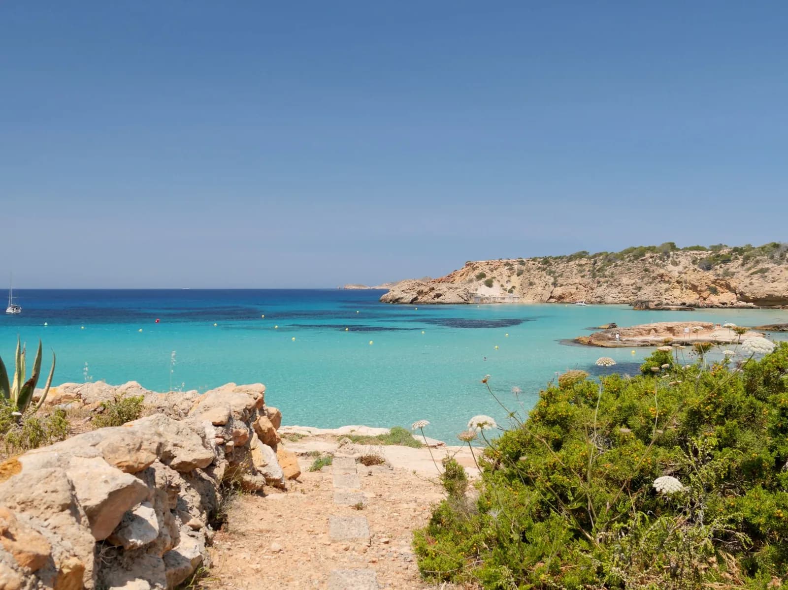 Crique à l'eau turquoise bordée de rochers plats et de pins sur la côte ouest d'Ibiza (Cala Tarida)