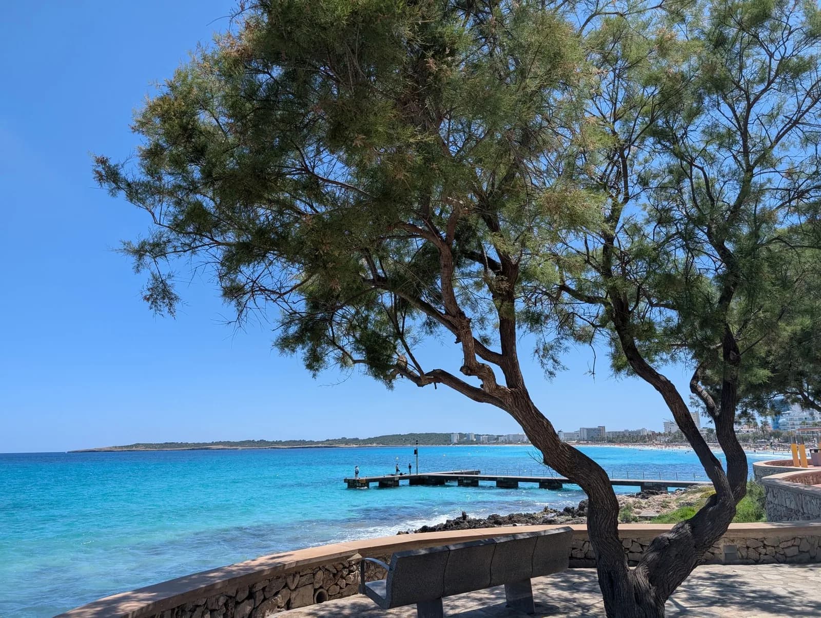 Une baie de Majorque aux eaux turquoise, bordée d'un front d'hôtels et vue depuis la promenade ombragée de tamaris