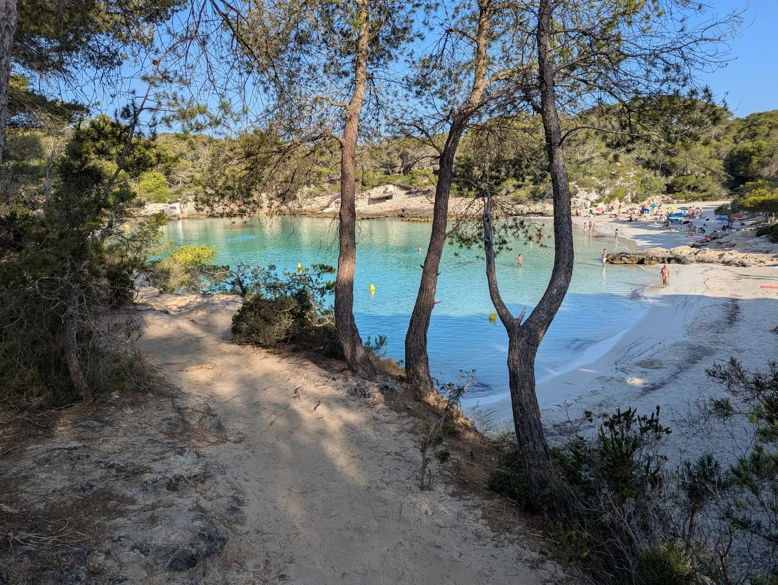 Cala Mitjana sur la côte sud de Minorque, crique de sable clair bordée de pins et d'eau turquoise