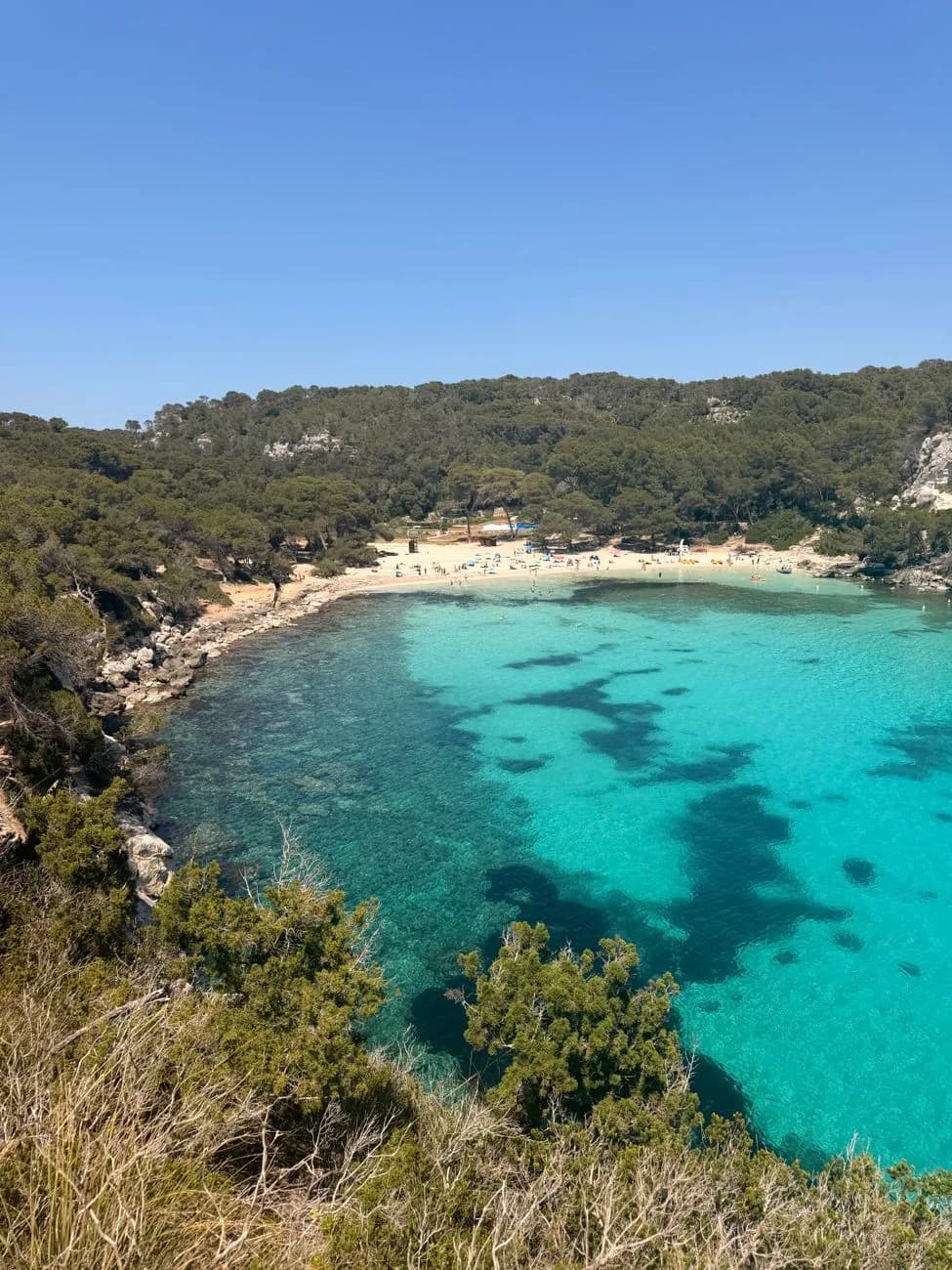 Une crique de Minorque bordée de pins, son eau turquoise et sa plage de sable clair au fond