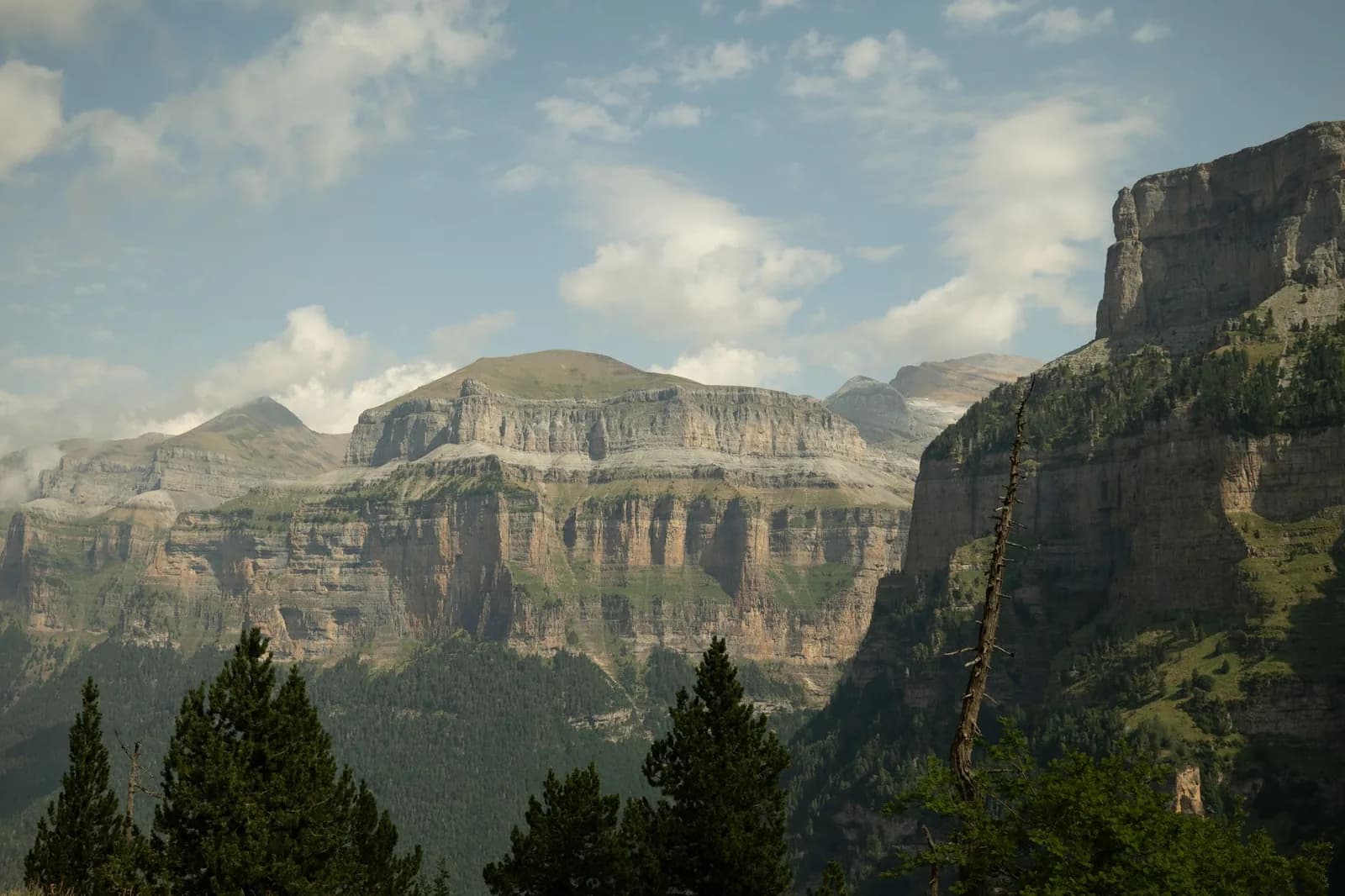 La vallée d'Ordesa dans les Pyrénées aragonaises, ses parois calcaires étagées et sa forêt de pins