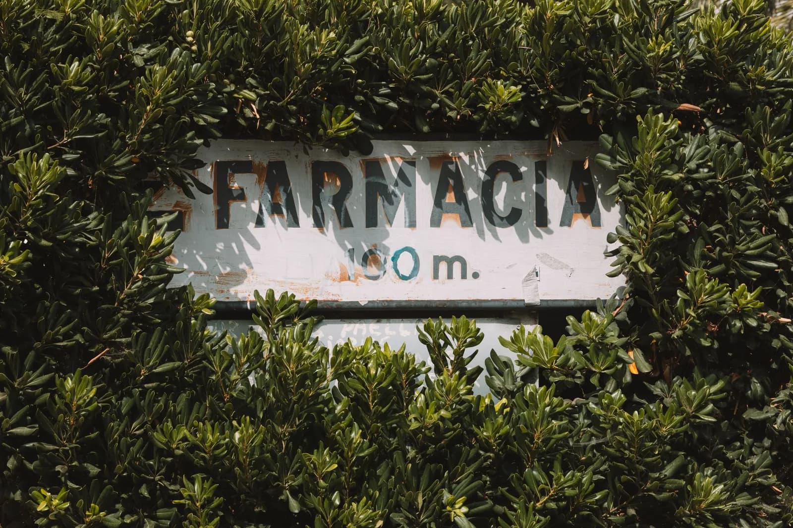 Un panneau peint indiquant « Farmacia 100 m » à demi recouvert par une haie, en Espagne